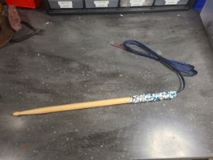 picture of motorized stick